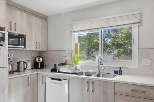 2812 19 Street Nw, Calgary, AB - Indoor Photo Showing Kitchen With Double Sink