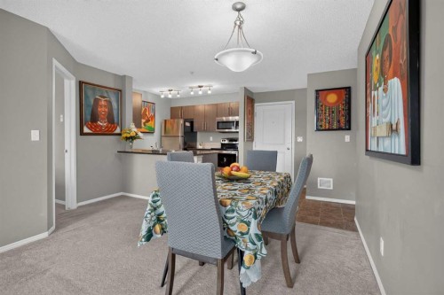 217-5 Saddlestone Way Ne, Calgary, AB 