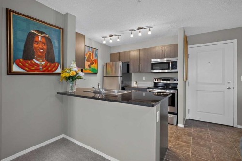 217-5 Saddlestone Way Ne, Calgary, AB 