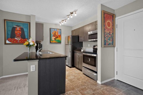 217-5 Saddlestone Way Ne, Calgary, AB 