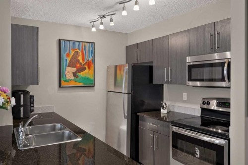 217-5 Saddlestone Way Ne, Calgary, AB 