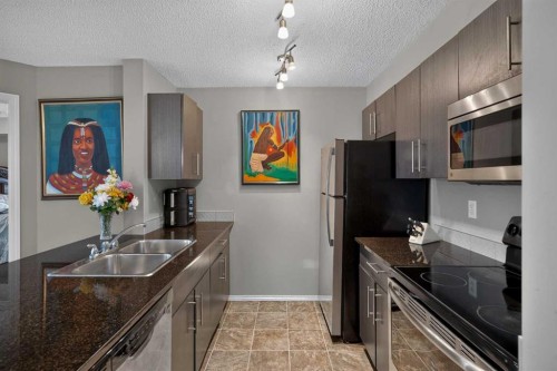 217-5 Saddlestone Way Ne, Calgary, AB 