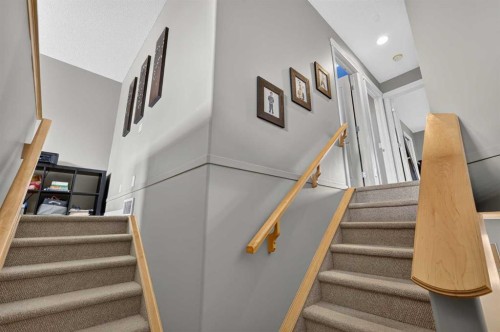 177 Covehaven Gardens Ne, Calgary, AB 