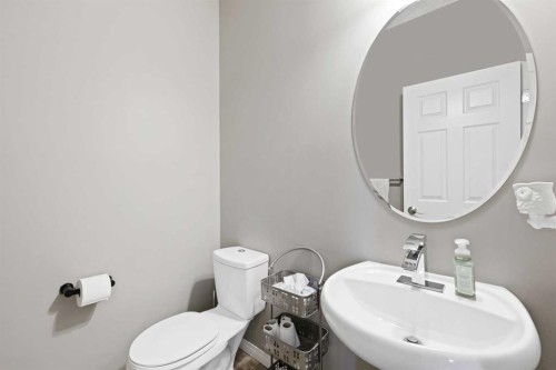716 Boulder Creek Drive Se, Langdon, AB - Indoor Photo Showing Bathroom