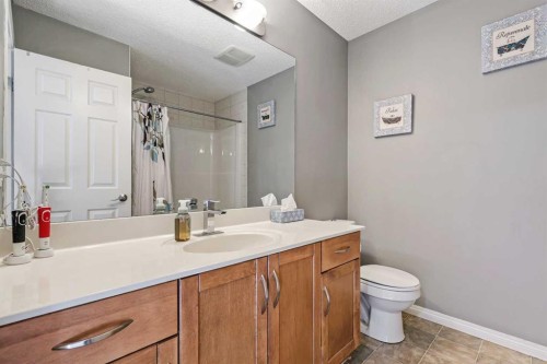 716 Boulder Creek Drive Se, Langdon, AB - Indoor Photo Showing Bathroom
