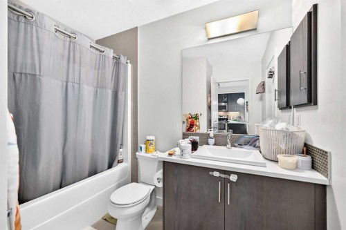 231-25 Auburn Meadows Avenue Se, Calgary, AB - Indoor Photo Showing Bathroom