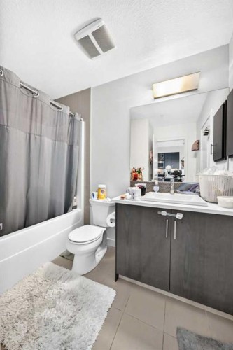 231-25 Auburn Meadows Avenue Se, Calgary, AB - Indoor Photo Showing Bathroom