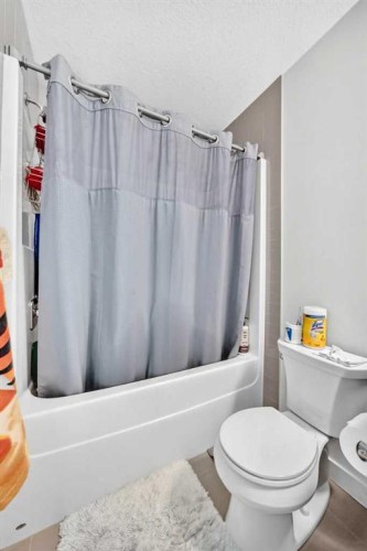 231-25 Auburn Meadows Avenue Se, Calgary, AB - Indoor Photo Showing Bathroom