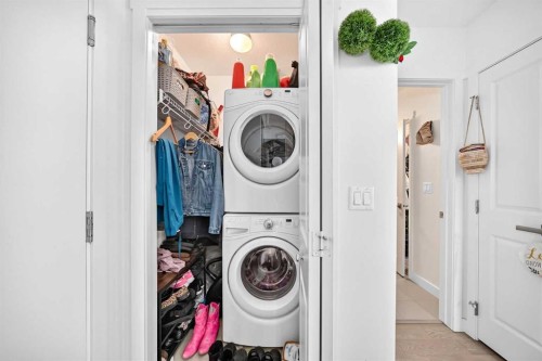 231-25 Auburn Meadows Avenue Se, Calgary, AB - Indoor Photo Showing Laundry Room