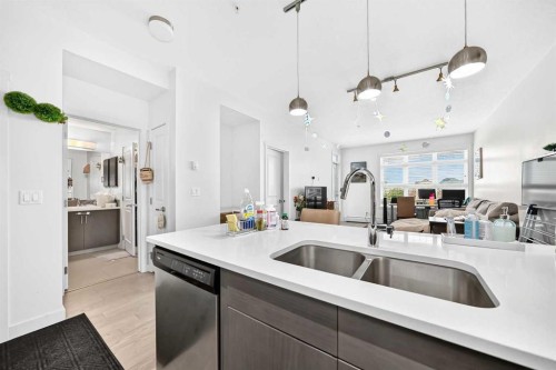 231-25 Auburn Meadows Avenue Se, Calgary, AB - Indoor Photo Showing Kitchen With Double Sink
