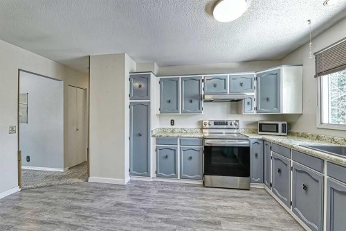 3523 48 Street Ne, Calgary, AB - Indoor Photo Showing Kitchen