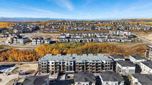 2417-2117 81 Street Sw, Calgary, AB 