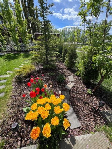 46 Somerside Manor Sw, Calgary, AB - Outdoor