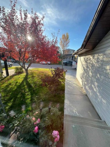46 Somerside Manor Sw, Calgary, AB - Outdoor