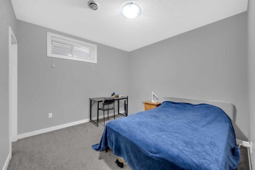 45 Red Sky Green Ne, Calgary, AB 