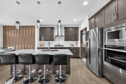 45 Red Sky Green Ne, Calgary, AB 