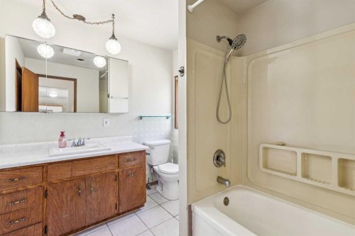 254063 480 Township, Millet, AB - Indoor Photo Showing Bathroom