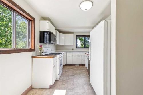 254063 480 Township, Millet, AB - Indoor Photo Showing Kitchen