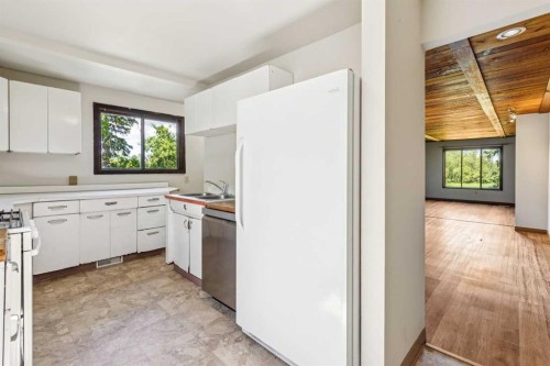 254063 480 Township, Millet, AB - Indoor Photo Showing Kitchen With Double Sink
