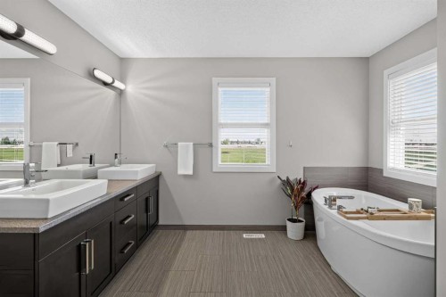 367 Mahogany Terrace Se, Calgary, AB - Indoor Photo Showing Bathroom