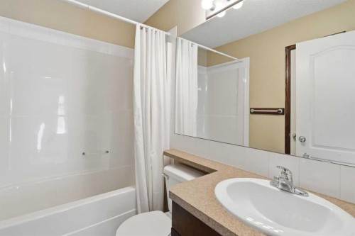 258 Cranberry Place Se, Calgary, AB - Indoor Photo Showing Bathroom