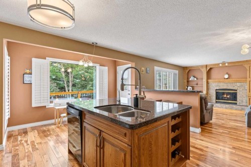 152 Douglas Glen Mews Se, Calgary, AB - Indoor Photo Showing Kitchen With Fireplace With Double Sink