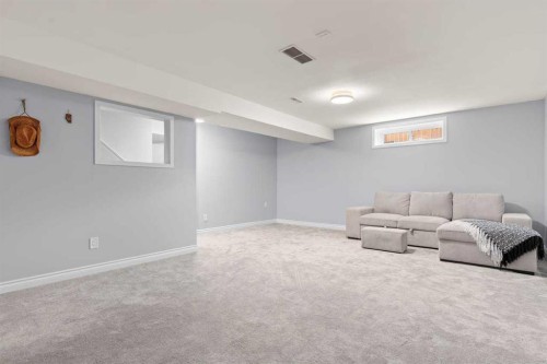 152 Douglas Glen Mews Se, Calgary, AB - Indoor Photo Showing Basement