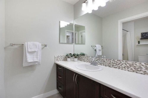 213 Kingsmere Cove Se, Airdrie, AB - Indoor Photo Showing Bathroom