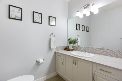 213 Kingsmere Cove Se, Airdrie, AB - Indoor Photo Showing Bathroom