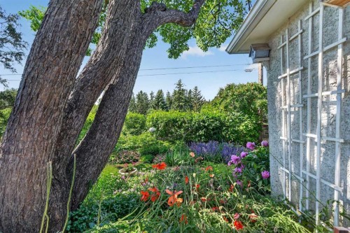 819 Thorneycroft Drive Nw, Calgary, AB 