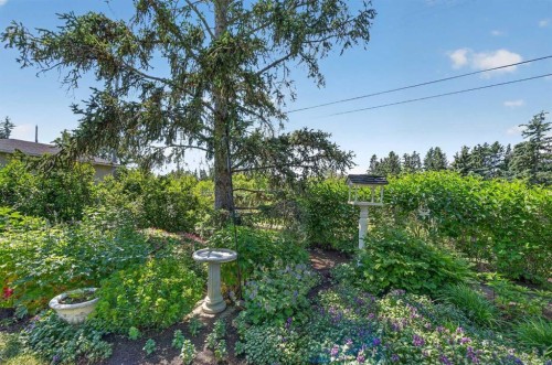 819 Thorneycroft Drive Nw, Calgary, AB 
