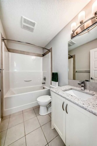 215-20 Seton Park Se, Calgary, AB - Indoor Photo Showing Bathroom