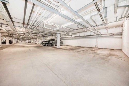 215-20 Seton Park Se, Calgary, AB - Indoor Photo Showing Garage