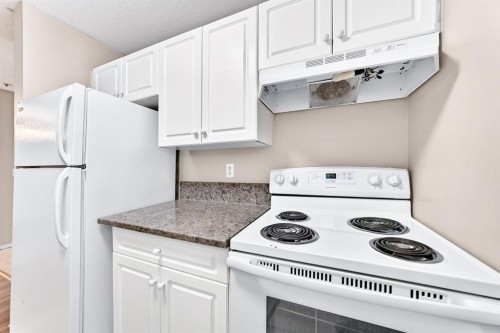 1107-6224 17 Avenue, Calgary, AB 