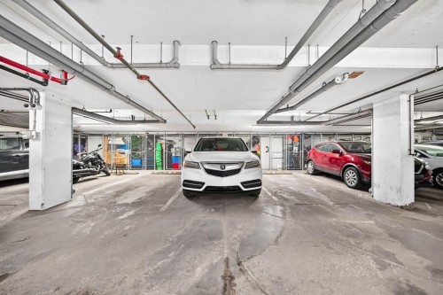 4310-755 Copperpond Boulevard Se, Calgary, AB - Indoor Photo Showing Garage