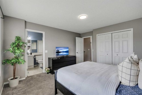 12 Copperfield Rise Se, Calgary, AB 