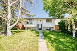 208 Temple Close NE Calgary, AB T1Y 3B6