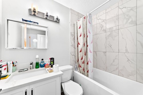 19 Berwick Crescent Nw, Calgary, AB - Indoor Photo Showing Bathroom