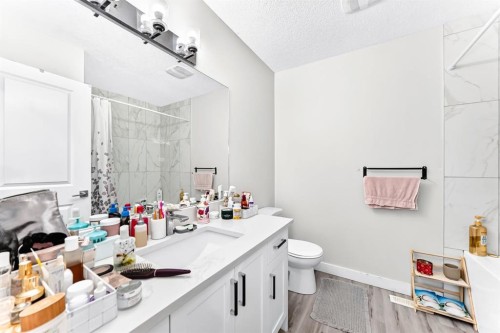 19 Berwick Crescent Nw, Calgary, AB - Indoor Photo Showing Bathroom