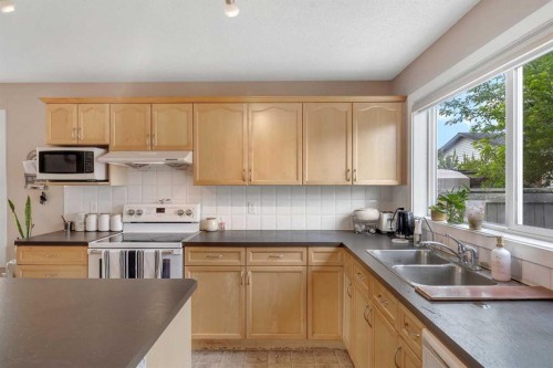 91 Saddlebrook Way Ne, Calgary, AB 