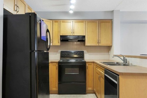 1102-70 Panamount Drive Nw, Calgary, AB - Indoor Photo Showing Kitchen With Double Sink