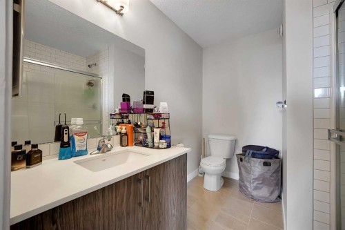 42 Midtown Boulevard Sw, Airdrie, AB - Indoor Photo Showing Bathroom