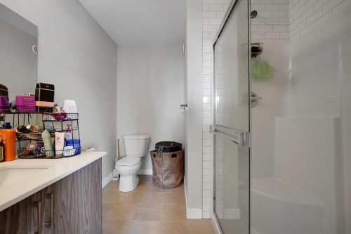 42 Midtown Boulevard Sw, Airdrie, AB - Indoor Photo Showing Bathroom