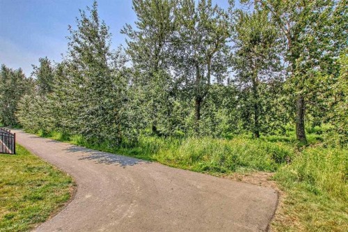 276 Cranbrook Point Se, Calgary, AB - Outdoor