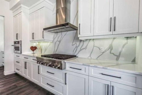 276 Cranbrook Point Se, Calgary, AB - Indoor Photo Showing Kitchen With Upgraded Kitchen