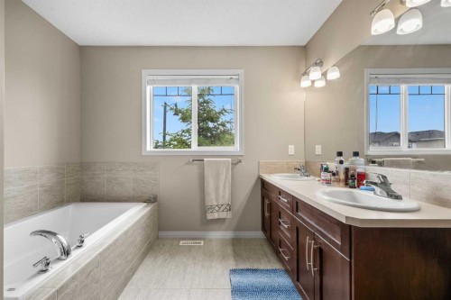 116 Drake Landing Loop, Okotoks, AB - Indoor Photo Showing Bathroom