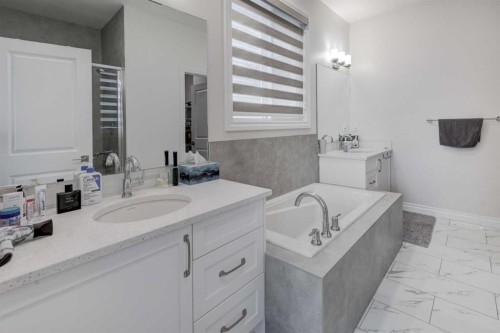 351 Baywater Common Sw, Airdrie, AB - Indoor Photo Showing Bathroom