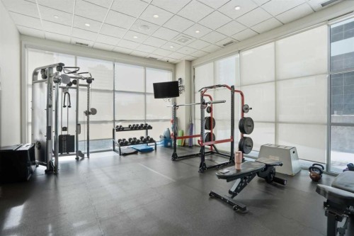 706-530 12 Avenue Sw, Calgary, AB - Indoor Photo Showing Gym Room