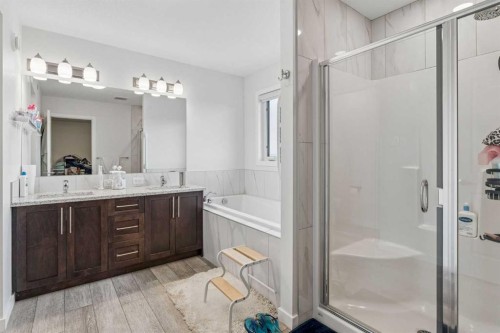 215 Lucas Terrace Nw, Calgary, AB - Indoor Photo Showing Bathroom