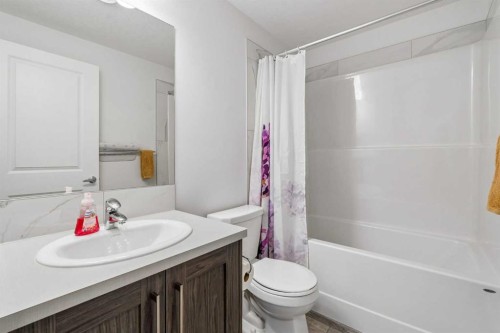 215 Lucas Terrace Nw, Calgary, AB - Indoor Photo Showing Bathroom